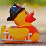 rubber-duck-1361289_1280