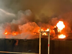 d3c065fb-4511-41fc-86a0-fcf7d812bf30